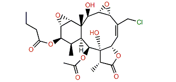 Briarenol Y